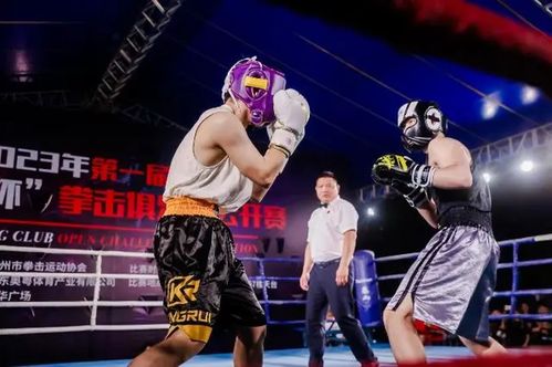 拳力出擊 廣州拳擊俱樂部公開賽火熱舉行，展現賽事組織新高度