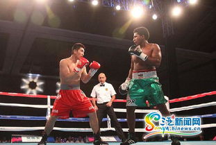 2015世界拳擊聯賽三亞落幕 中國龍不敵墨西哥勇士，拳擊賽事組織迎發展契機