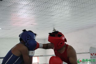 力量之搏 洛陽第十二屆運動會拳擊比賽圓滿落幕