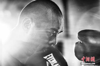 張志磊 中國拳手如何在美國職業(yè)拳壇打出一片天？