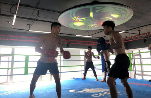 拳風(fēng)再起，蓄力新征程——廣西拳擊隊(duì)進(jìn)駐迪創(chuàng)曼巴中心開(kāi)啟高強(qiáng)度集訓(xùn)