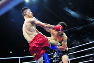 FF聯(lián)賽首戰(zhàn)引爆鵬城 首創(chuàng)搏擊聯(lián)賽開(kāi)啟深圳拳擊新紀(jì)元